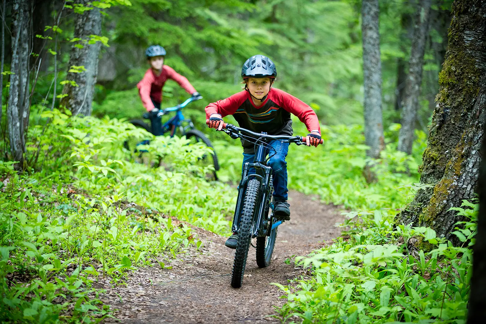 2 Kinder auf einem Biketrail im Wald